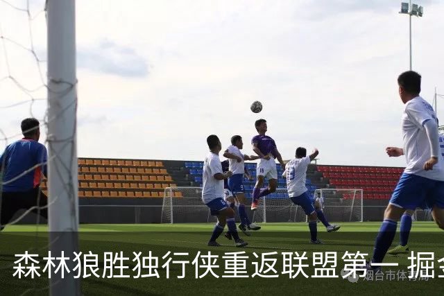 森林狼胜独行侠重返联盟第一 掘金胜篮网3连胜